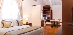 Joo Chiat Place (D15), Condominium #482453061